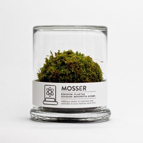 I love monday #mosser #design #product #glas #moss #green