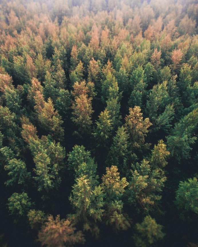 Singapore From Above: Brilliant Drone Photography by Julian Cheong