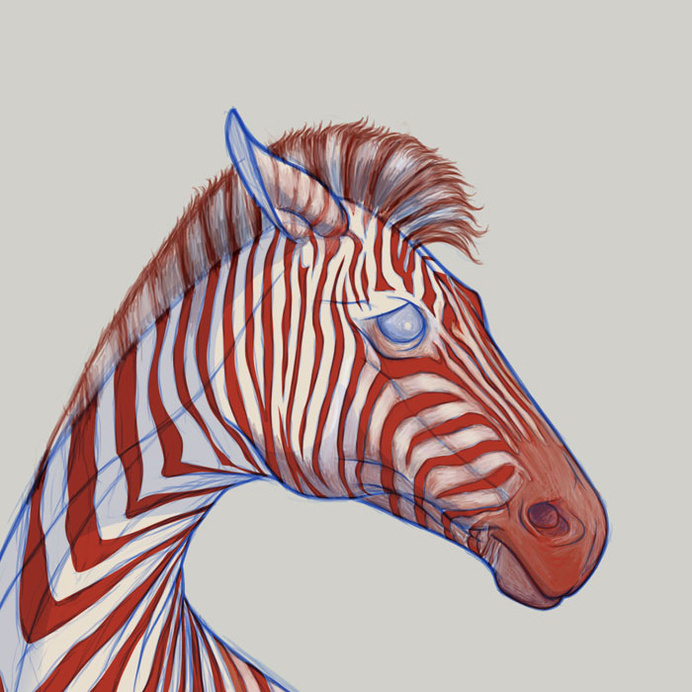 Google-Ergebnis für http://www.popavenue.com/pub/illustration/Richard-Wilkinson-01.jpg #zebra #sketch