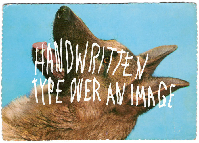 DESIGN BLOG — websitesarelovely #type #illustration #design #typography