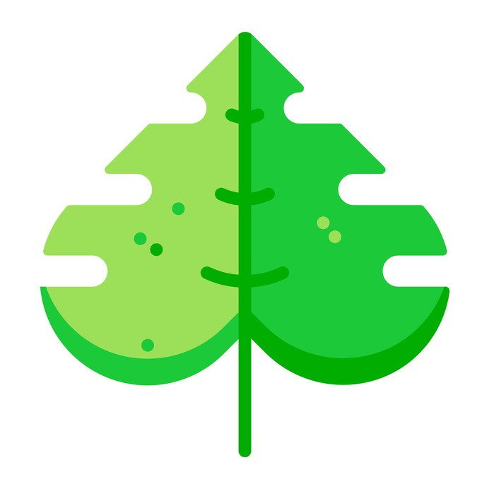 See more icon inspiration related to leaf, plant, farming and gardening, ecology and environment, botanical, gardening, garden, leave, leaves, holidays and nature on Flaticon.