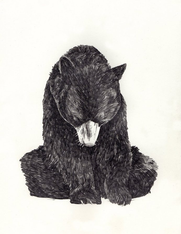 bear #bear #love