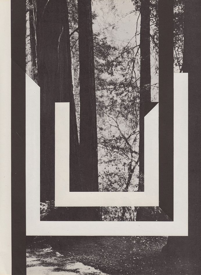 Reith16.jpg (900×1231)