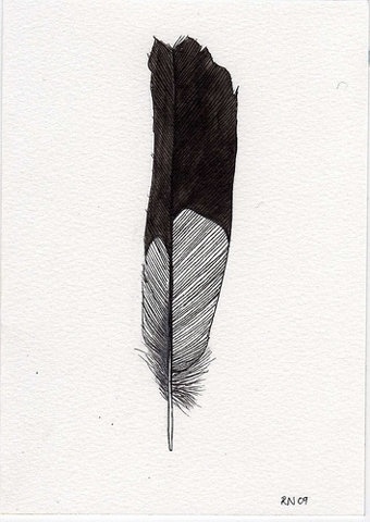 tumblr drawings feathers