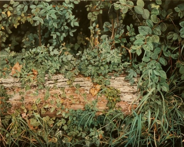 Jacques Bodin 13 #painting #art #realistic