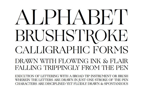 TYPECACHE'S Favorite Fonts of 2013 | TYPECACHE.COM #font #serif #ogg #typeface #typography