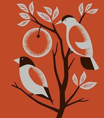 FFFFOUND! | orange birds on Flickr - Photo Sharing! #birds #illustration