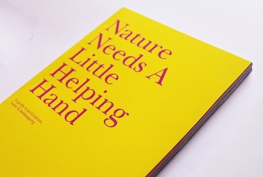 British Beekeepers Association - Natasha Fielding #british #beekeepers #association #bee #rebrand #beekeeping #identity