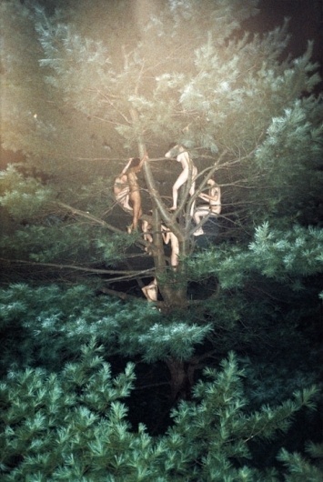 Ryan McGinley #mcginleytree #3 #ryan #2003
