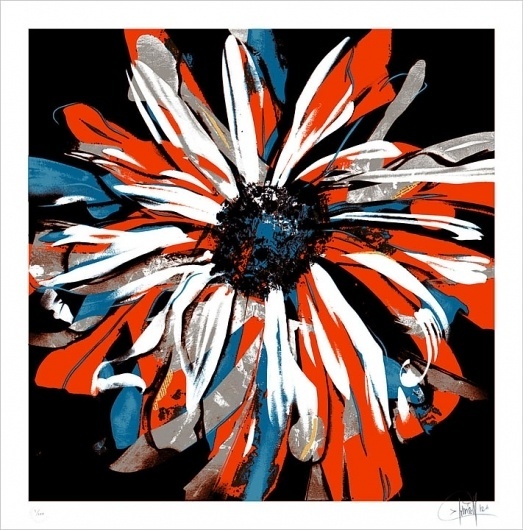 Dave Kinsey #flower #screenprint #dave #kinsey