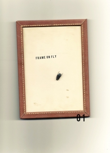 25p1c29.jpg 1,152×1,599 pixels #simple #frame #fly #scan