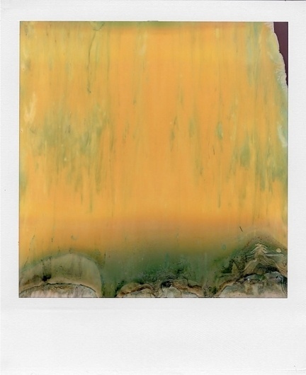 Ruined Polaroid by William Miller #photography