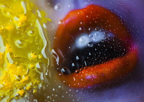 Fine Art Photography by Nadia Wicker #inspiration #photography #art #fine