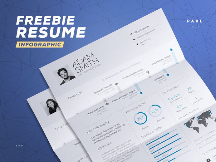 Free Infographic Resume Template in Word and Indesign File Format