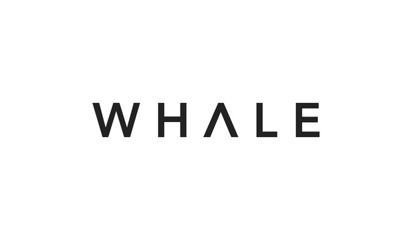 Elevn Co. / Whale Lifestyle Website #logotype #minimalism #clean #simple #logo #typography