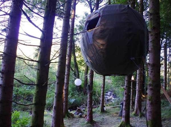 Tree Tents #tent #forest #tree