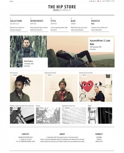 The website design showcase of The Hip Store. #website #grid #wed #design