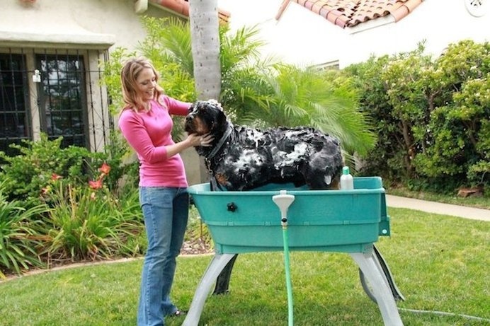 Pets Gadgets Collection #tech #flow #gadget #gift #ideas #cool