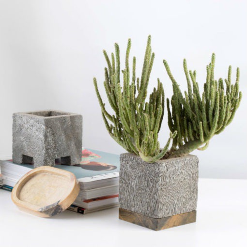 Ocean Planters These Ocean Planters are eco-friendly and sustainable pots for plants. They are made from natural calcite rock that is found on the ocean floor in Northern Perú; and are carved by hand into these functional planters. The pores of the rock acts as natural drainage to maintain only the necessary humidity.