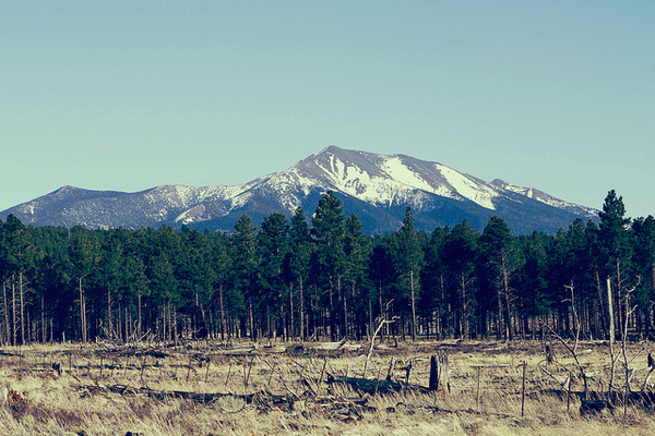 America #mountain #woods #snow #road #trip #forest #green