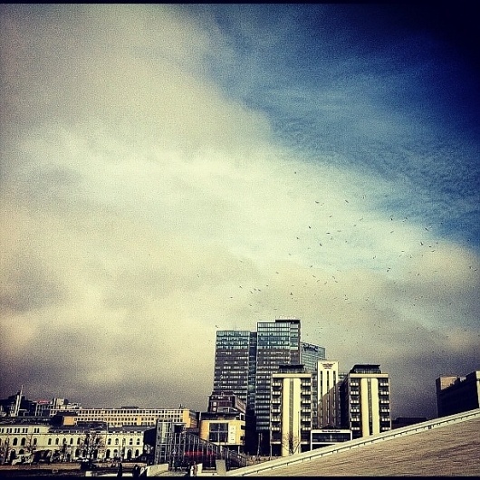 prerna on Instagrid.me | The Best Way to View Instagram Photos #city #birds #photography #building #europe #skyline #life