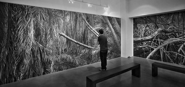 Garth Meyer's Fine Art Photographic Exhibition at the Rooke Gallery #exhibition #photo