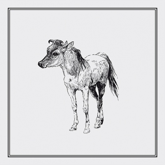Zooilógico on the Behance Network #draw #zoo #art