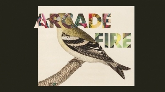 3363214131_29b6270931_o.jpg (Imatge JPEG, 670x377 píxels) #music #color #bird