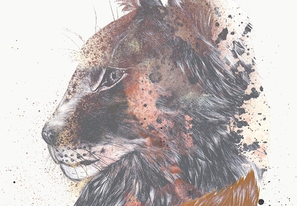 ● LYNX POSTER / on Behance #animation #vector #biro #fineart #design #head #drawing #graphic #illustration #handmade #gif #poster #quotation #lynx #symmetry #watercolor #animal #typography