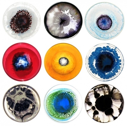 Klari+Reis.jpg 1079×1072 pixels #project #reis #klari #dish #art #daily