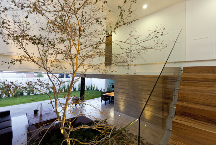Palmas Seis House