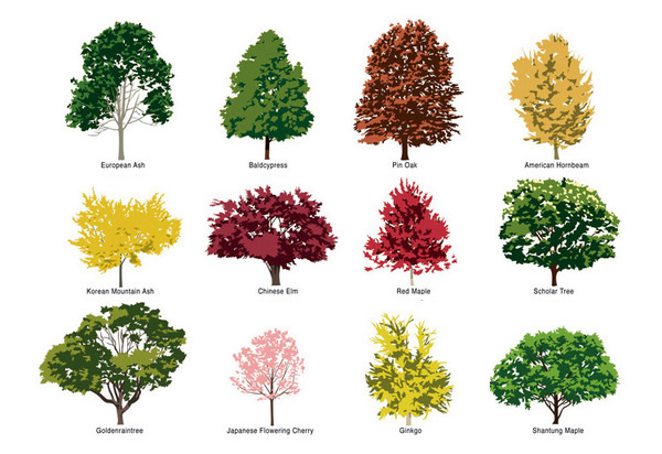 Alexander Isley, #illustration #vector #trees
