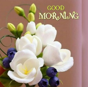 good morning images