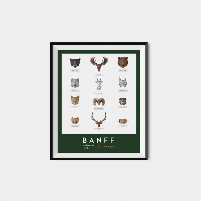Graphic Design Banff National Park Modern Animals