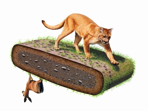 Josh Keyes | BLDGWLF #illustration #design #drawing #life