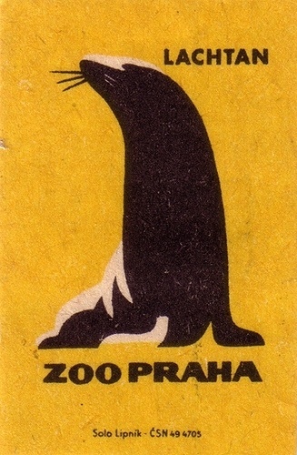 Oliver Tomas | Text Proportion Utility » Blog Archive » Animal illustrations from the Prague Zoo (1963) #yellow #color #seal #illustration #vintage