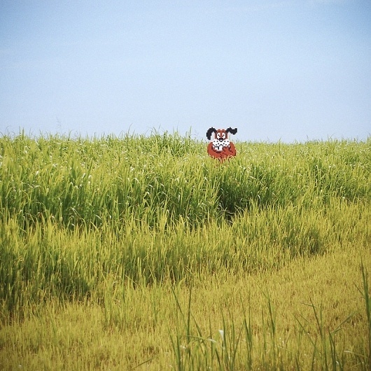 Schadenfreude Dog | Flickr - Photo Sharing! #vs #lewis #video #photography #real #aled #games #life