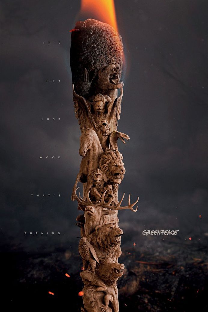 It’s not just wood – Greenpeace