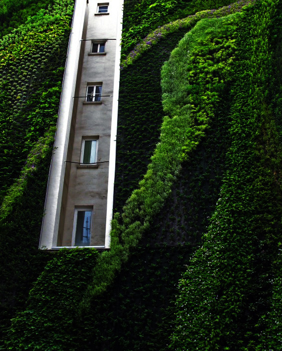 CJWHO ™ (Vertical Garden by Patrick Blanc) #design #interiors #botanic #photography #architecture #nature #art #garden #green