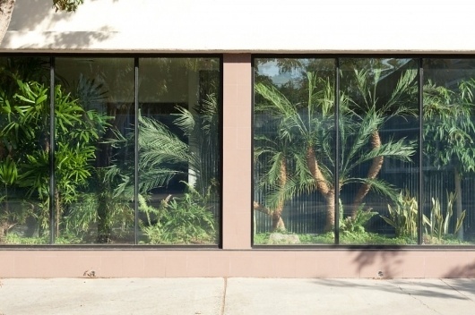 COLT + RANE #outside #inside