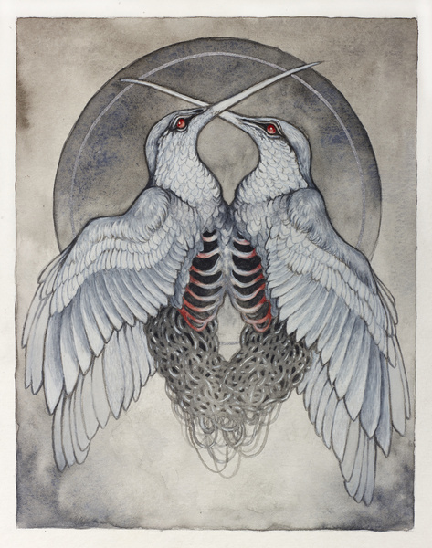 Illustration by Caitlin Hackett #illustration #art