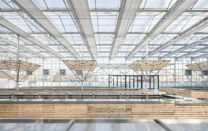 Shengli Market by LUO Studio