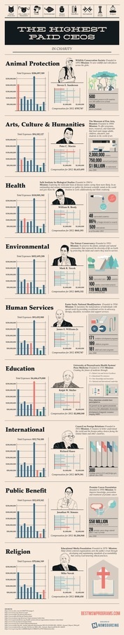 The Highest Paid CEOs in Charity #infographic #design #graphic