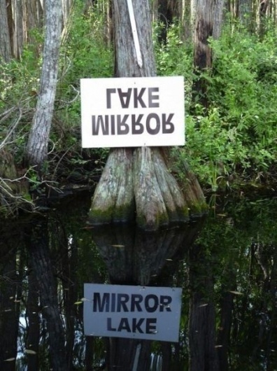 Mirror sign #sign #mirror