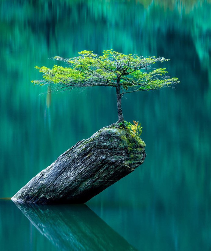Outstanding Nature and Landscape Photography by Jeff Walker