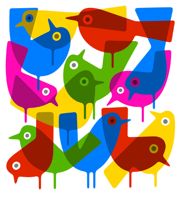 birds