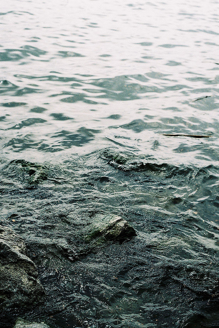 Water (specific inspiration) #nature #pattern #water