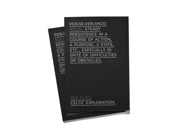 Celtic Explorations Annual Report 2009/2010 #typographic #cover #simple