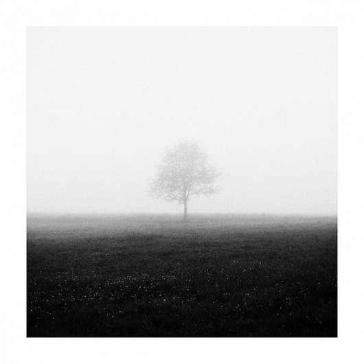 White Noise II on the Behance Network #white #black #heiderich #ii #photography #and #noise #matthias