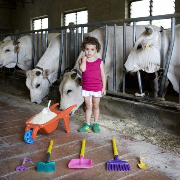 Toy Stories Photography2 #toys #photography